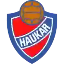 Haukar