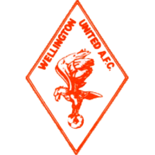 Wellington United AFC