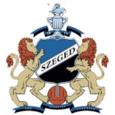 Szeged 2011 II