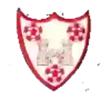 Wexford Bohs