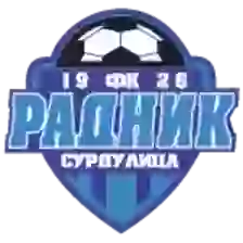 Radnik Surdulica