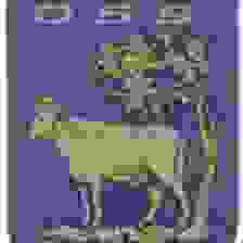 SV OSS.'20