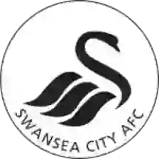 Swansea City