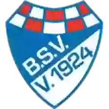 Brinkumer SV