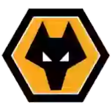 Đội bóng Wolverhampton Wanderers U21