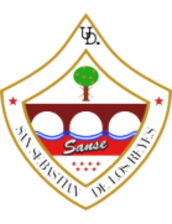 UD San Sebastián de los Reyes U19
