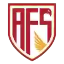 Avs Futebol Sad