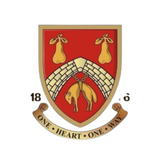 Đội bóng nữ Stourbridge FC