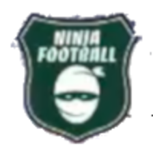 Ninja Football