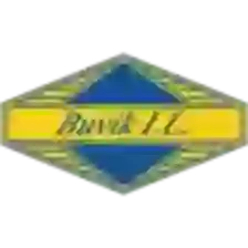 Buvik