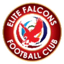 Elite Falcons