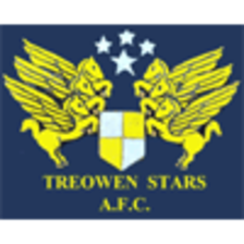 Treowen Stars