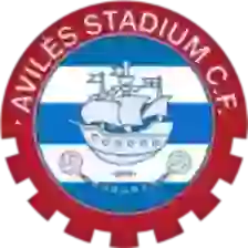 Avilés Stadium