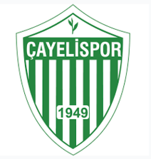 Cayelispor