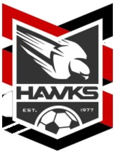 Holland Park Hawks (Women)