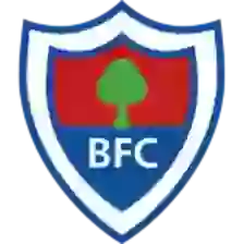 Bergantinos CF