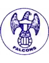 Toronto Falcons