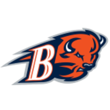 Đội Bison Bucknell
