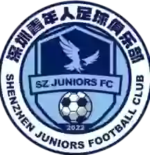 FC Thiếu Niên Thẩm Quyến