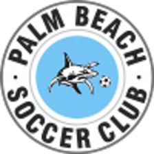 Palm Beach Sharks