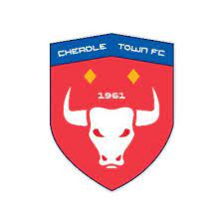 Cheadle Town Stingers Wfc (Women)
