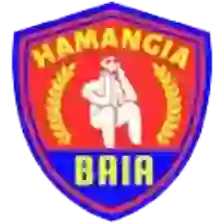 ACS Hamangia Baia
