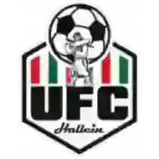 UFC Hallein
