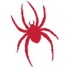 Richmond Spiders (Women)
