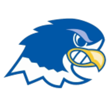 Notre Dame Falcons