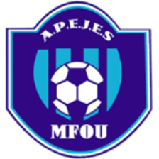 APEJES Academy