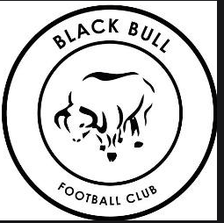 Black Bulls FC