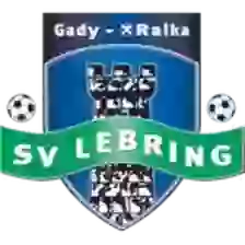 Gady Raika Lebring