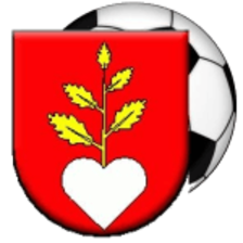 1. FK Buzitka