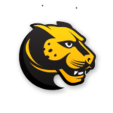 Wentworth Leopards