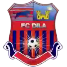 Dila Gori