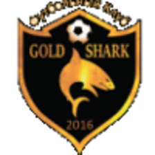 Gold Shark