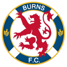 Burns