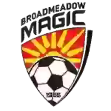 Broadmeadow Magic II