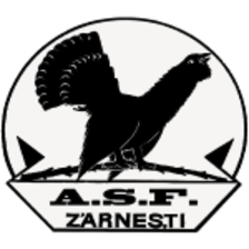 Đội Olympic Zarnesti II