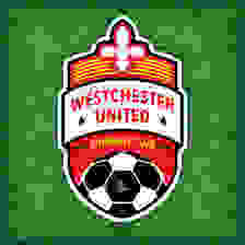 Đội Westchester United Viareggio
