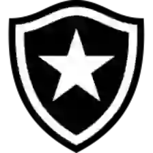Botafogo RJ U20