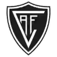 Academico de Viseu