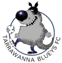 Tarrawanna Blueys