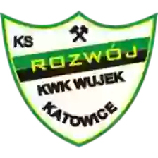 Rozwój Katowice