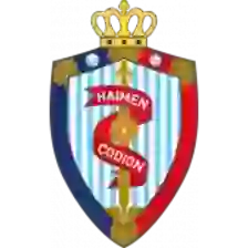 Nantong Haimen Codion