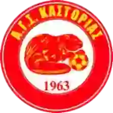 FC Kastoria