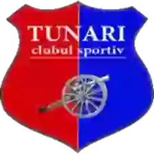 Tunari