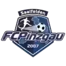 Pinzgau Saalfelden