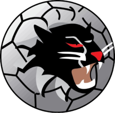 Woongarrah Wildcats