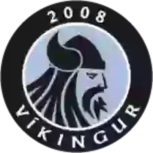 Vikingur Gota II